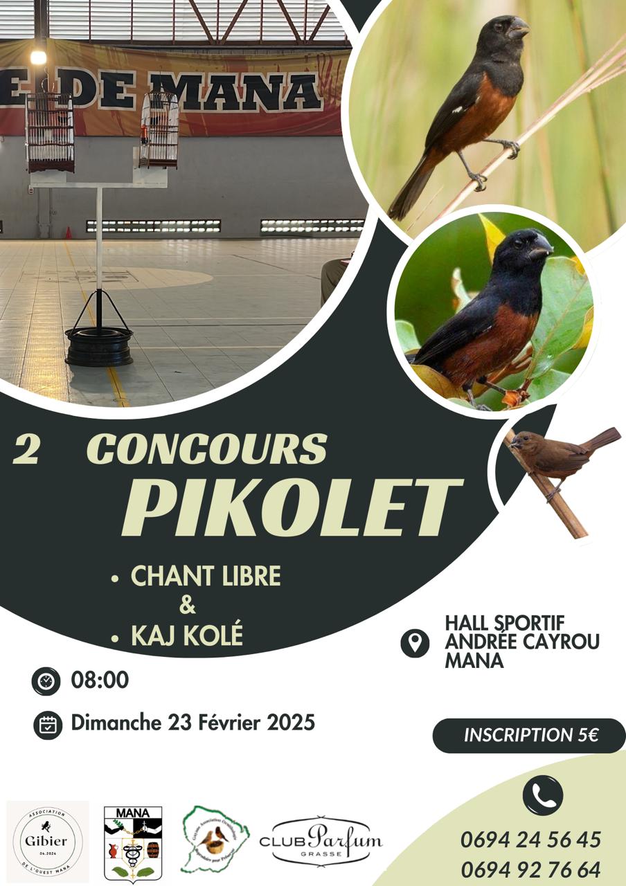 Concours de Pikolet