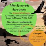 DÉCOUVERTE DES OISEAUX AVEC L'ABC