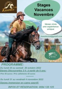 stage-equestre