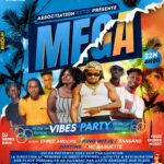 MEGA VIBES PARTY